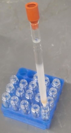 Screen Shot 2020-03-24 at 7.03.30 PM.jpg